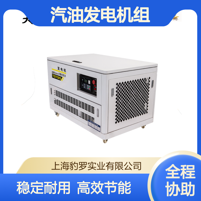 大泽动力四缸水冷静30kw汽油发电机组 全自动无刷免维护 学校别墅用
