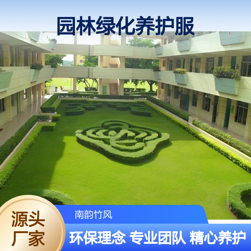园林绿化养护服务 夏天修剪秋天灭卵 专业团队定期维护 环保理念
