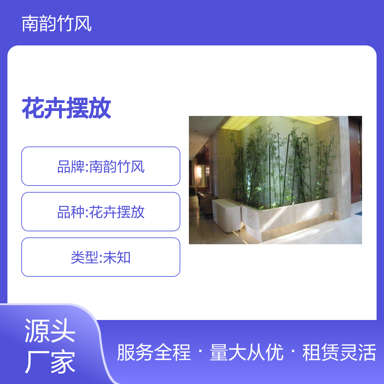 南韵竹风绿植摆租 花卉摆放服务 品种多样 成活率高