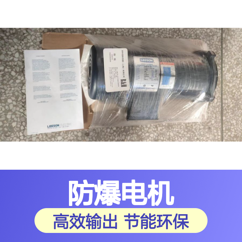 LEESON，1.5kW防爆电机 4RPM低转速电机 适用广泛12mm规格