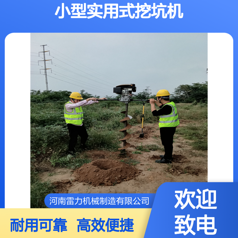 种树施肥打坑机 冬季打窝施肥引孔机 雷力小型实用式挖坑机