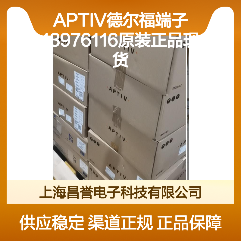 APTIV德尔福端子13976116 原装正品现货 国内代理渠道保障