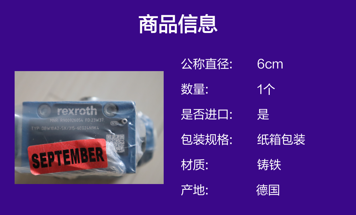 DBW10A2-5X/315-6EG24N9K4 R900926054 德国力士乐REXROTH溢流阀