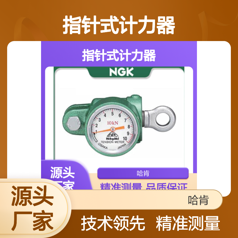 AS-10拉力表Nagaki 1吨拉力计 1T指针式计力器