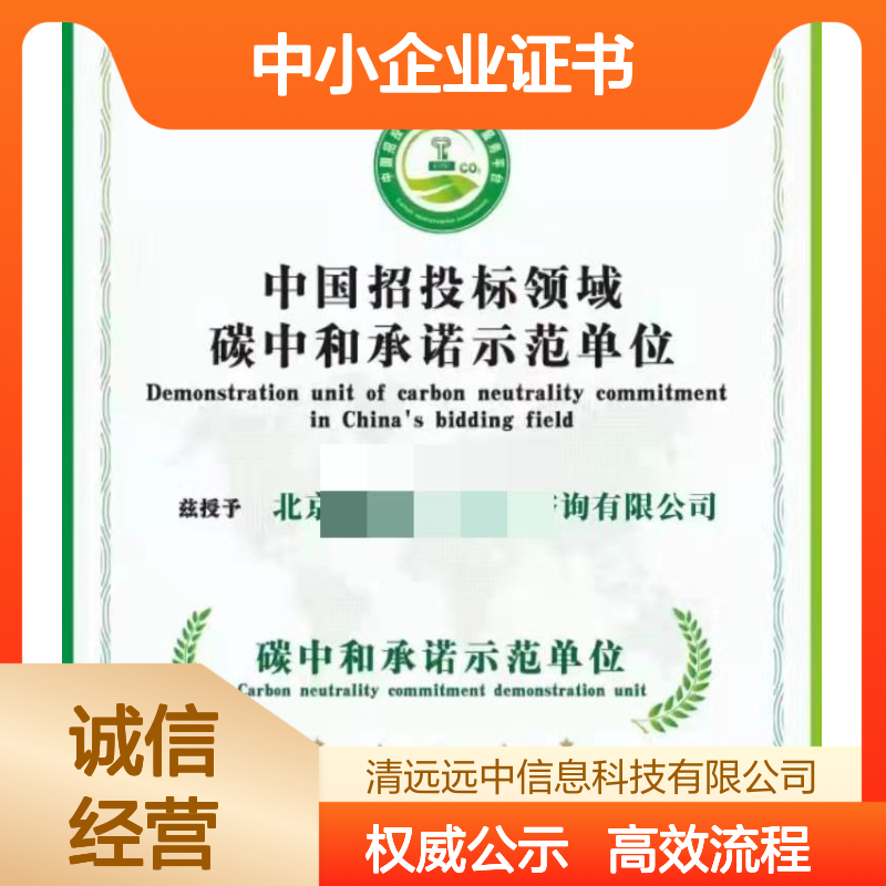 办理2025科技型中小企业证书的流程及周期 招投标加分