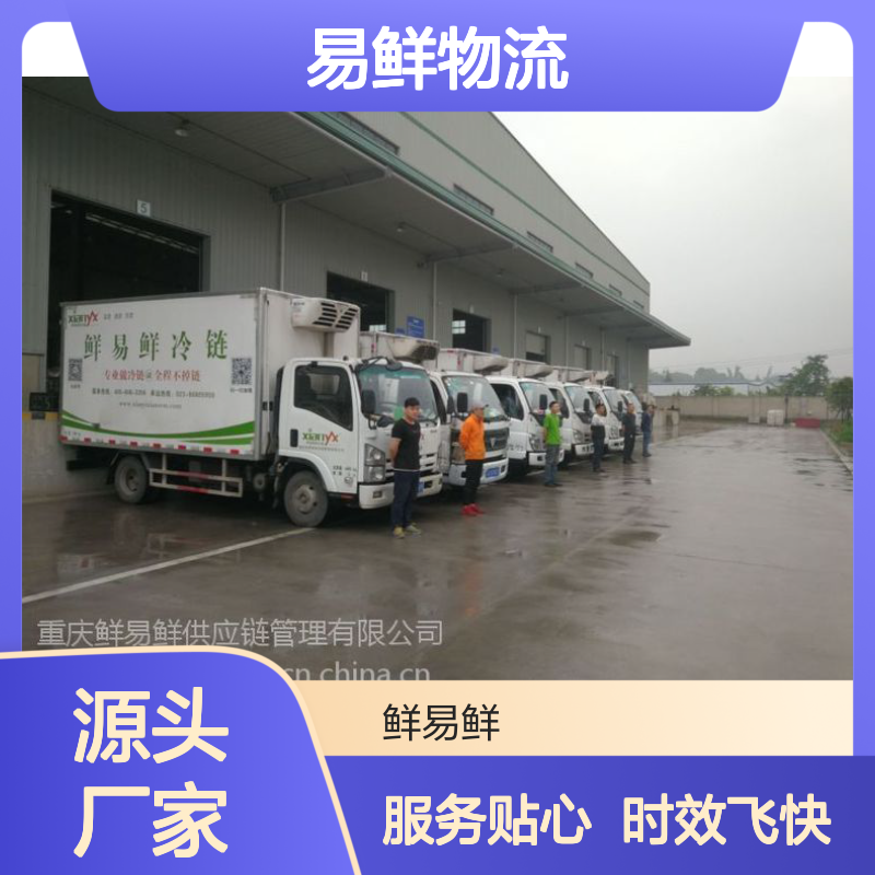 冷链物流快递 大件货运输 货物稳妥 时效快 广东鲜易鲜物流