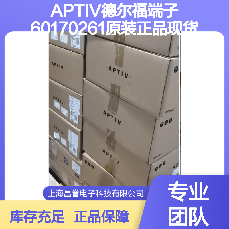 APTIV德尔福端子60170261 原装正品现货 国内代理货源可追溯
