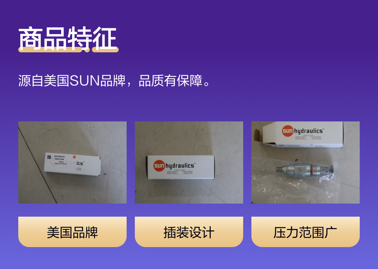 RDDALAN TRQ 30-35 LBF FT/41-47 NM 美国太阳SUN插装阀