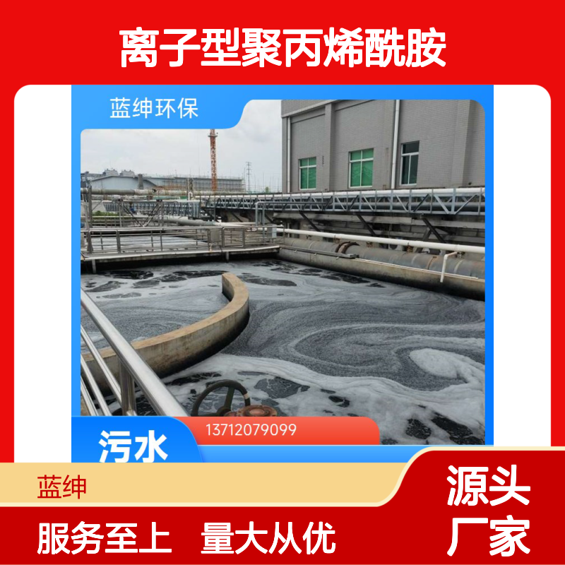 蓝绅环保 离子型聚丙烯酰胺 污水净化絮凝剂 沉淀迅速
