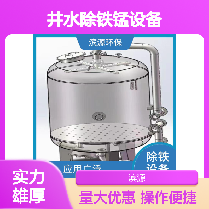 滨源 井水除铁锰设备 高效自动化 去除铁锰离子稳定达标