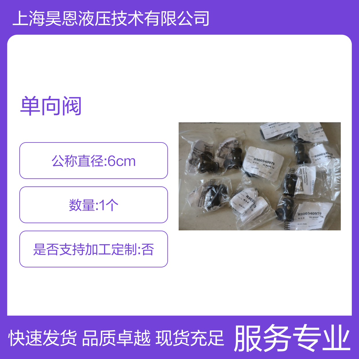 R900340979 M-SR20KE05-1X/ 德国力士乐REXROTH单向阀现货