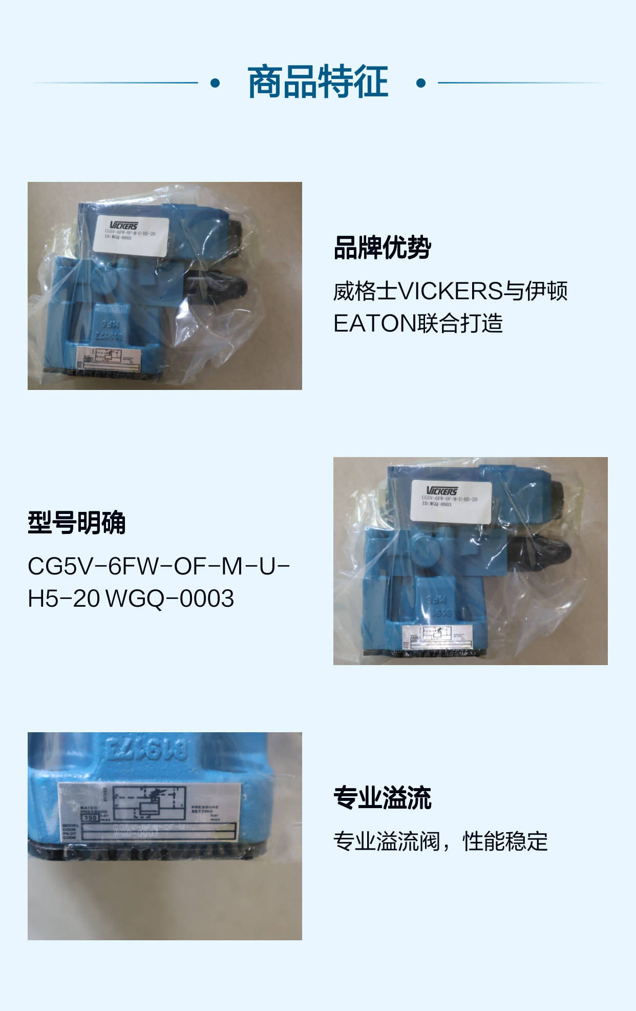 CG5V-6FW-OF-M-U-H5-20 WGQ-0003 威格士VICKERS伊顿EATON溢流阀