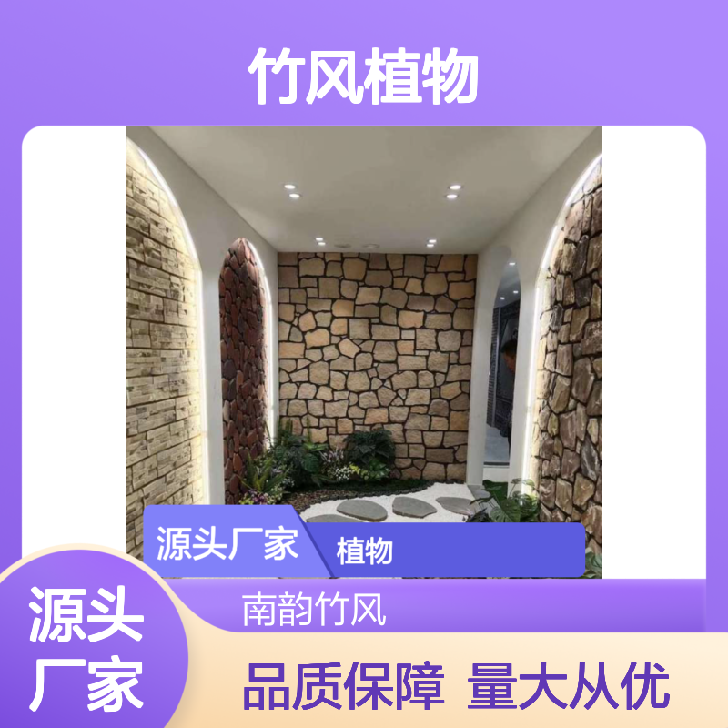 南韵竹风植物租摆服务，长期短期均可 品种多样