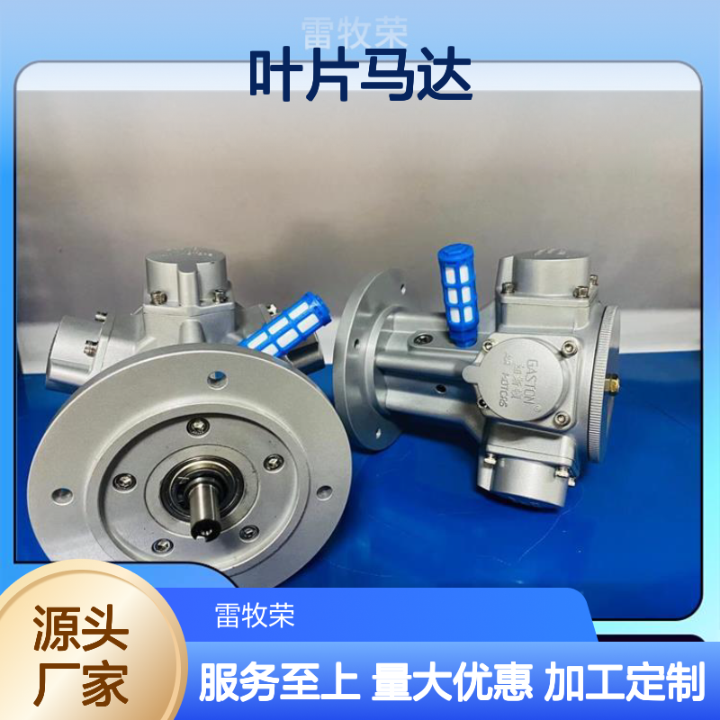 雷牧荣叶片马达 高转矩输出 动力强劲噪音小 防爆
