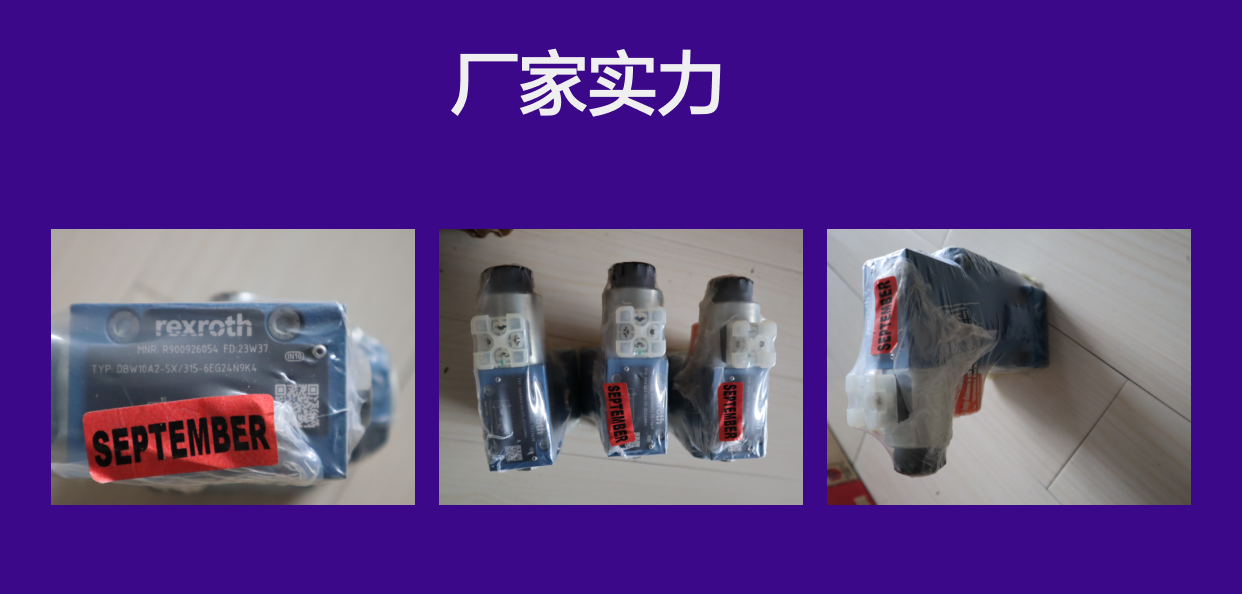 DBW10A2-5X/315-6EG24N9K4 R900926054 德国力士乐REXROTH溢流阀