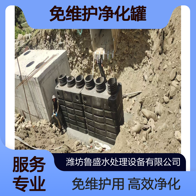 自充氧无动力免维护净化罐 HDPE材质 鲁盛环保