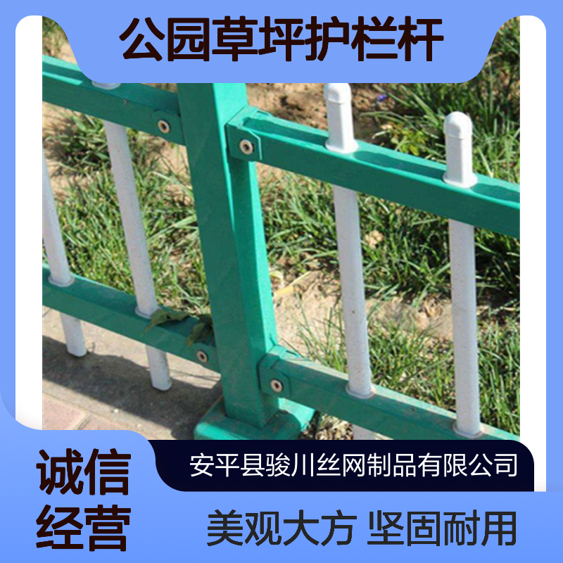 公园草坪护栏杆 防撞锌钢护栏 小区学校围栏 工厂围墙护栏网 骏川厂家