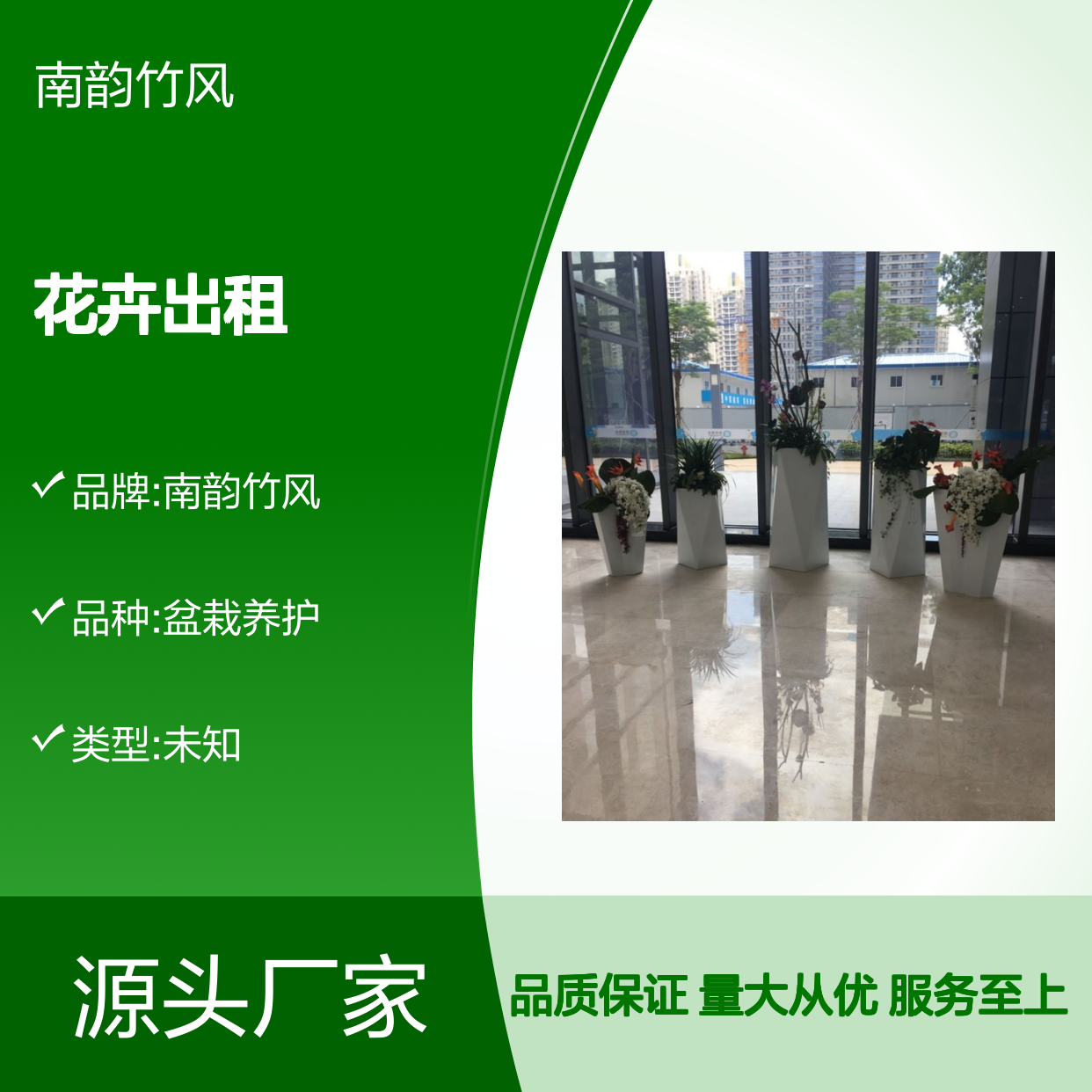 南韵竹风花卉出租 承接绿化工程 品种多样 成活率高