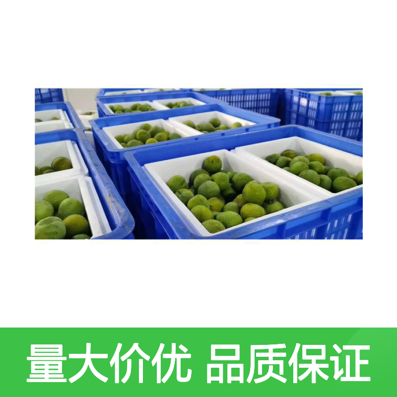 乔丰塑料箱 海鲜盆 PE材质耐用抗压 无毒无味 尺寸可定