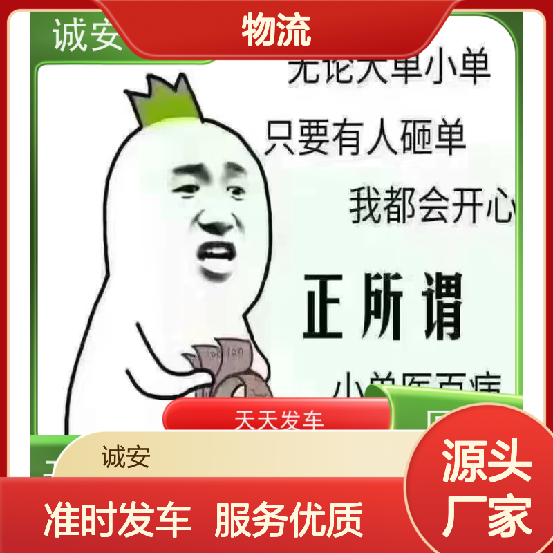 诚安物流 深圳至香港专线 塑胶制品货运 高效准时