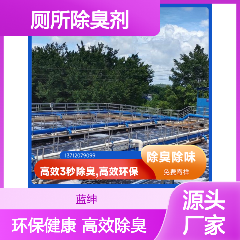 蓝绅环保 植物型厕所除臭剂 3秒快速除臭 细节优质