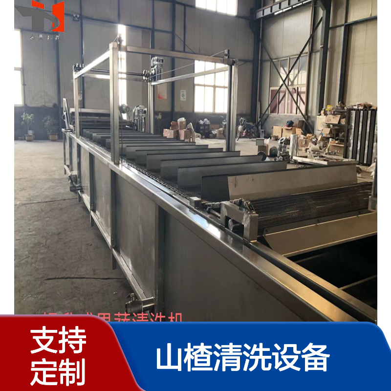 冷冻蔬菜清洗流水线 山楂清洗设备 不锈钢气泡清洗机 源头厂家可定制