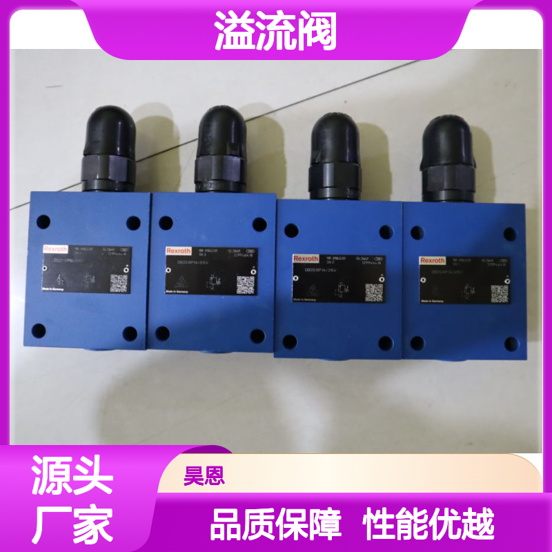 R900424159 DBDS10P1X/315V DBDS10P1A/315V 力士乐REXROTH溢流阀