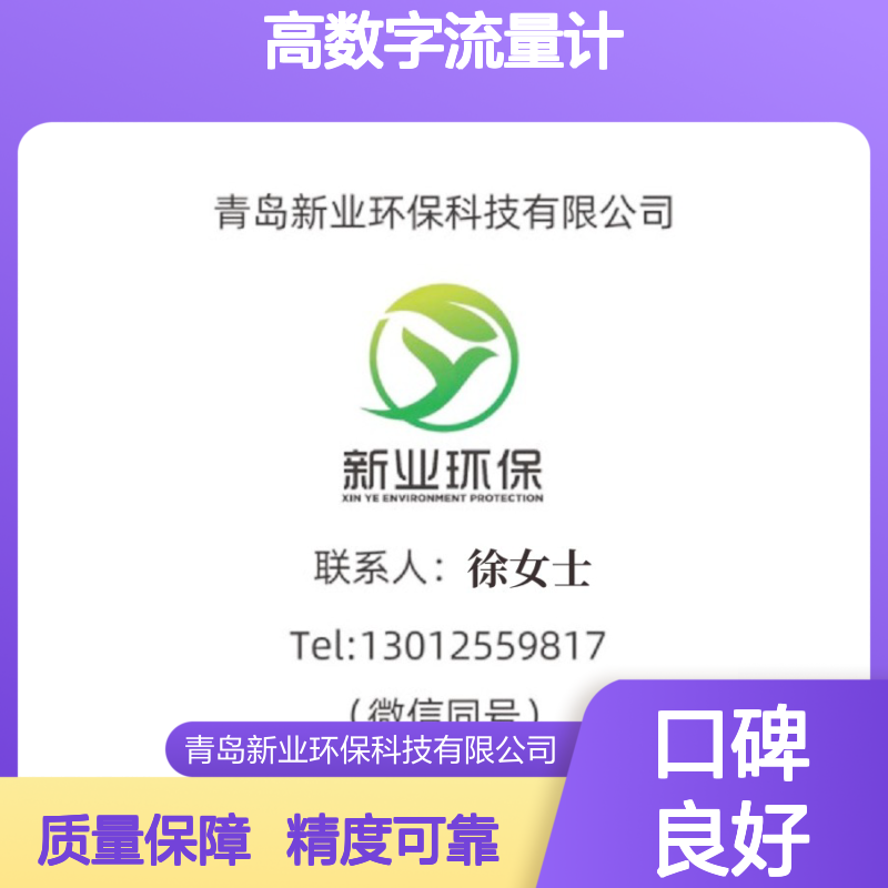 FT-1 肺通气量仪 新业环保 环境气象 测量精度高数字流量计