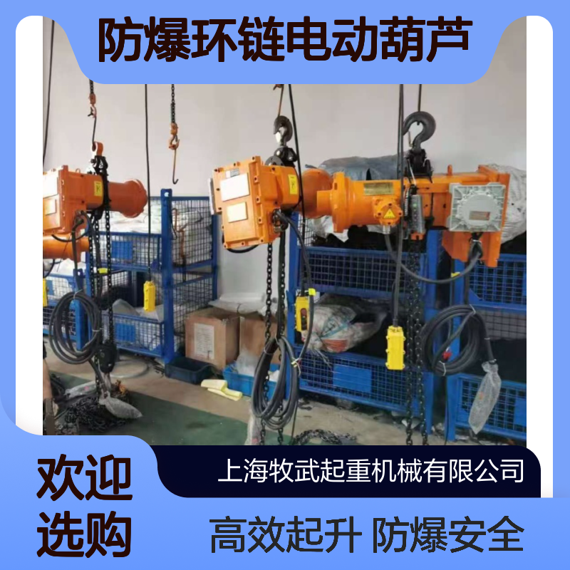防爆葫芦 HHBB 工厂用电动提升机 四级防爆 380v 速度可调 高度可定制