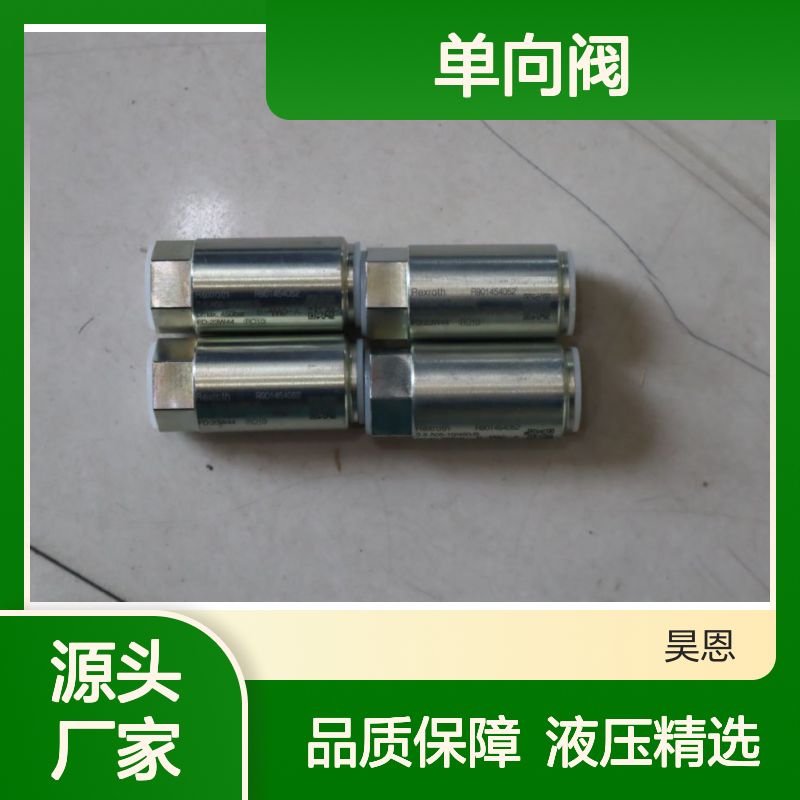 R901454052 S8A05-1X/450J3 德国力士乐REXROTH单向阀