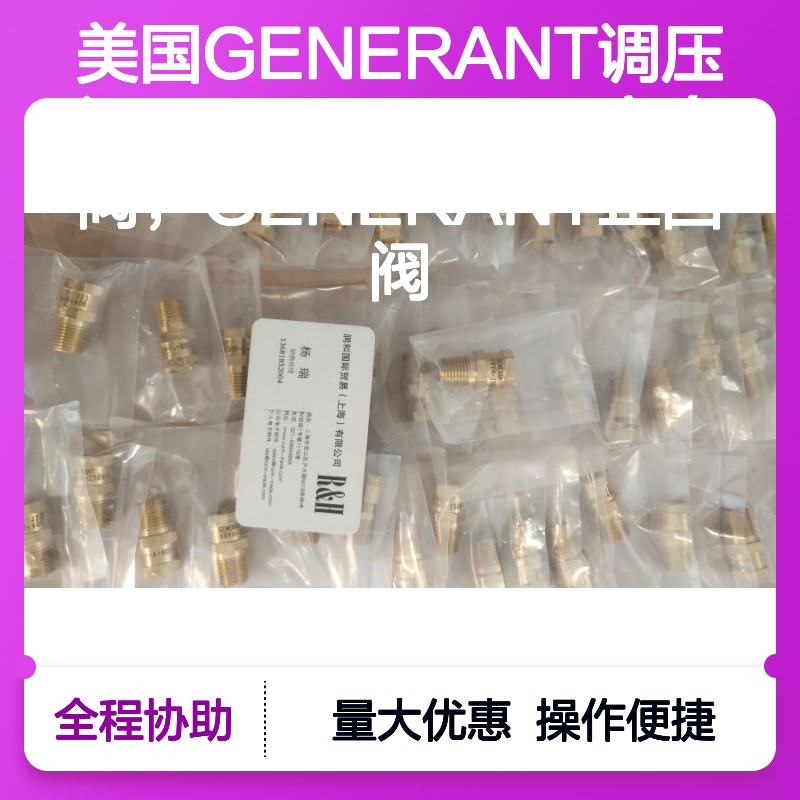 美国GENERANT调压阀 安全阀 止回阀 紧凑精度直动式 工厂预置规格