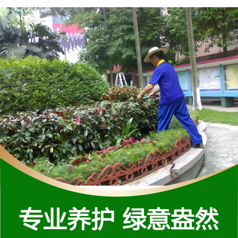 深 圳酒店绿地维护 商场园区绿化养护公司 南韵竹风