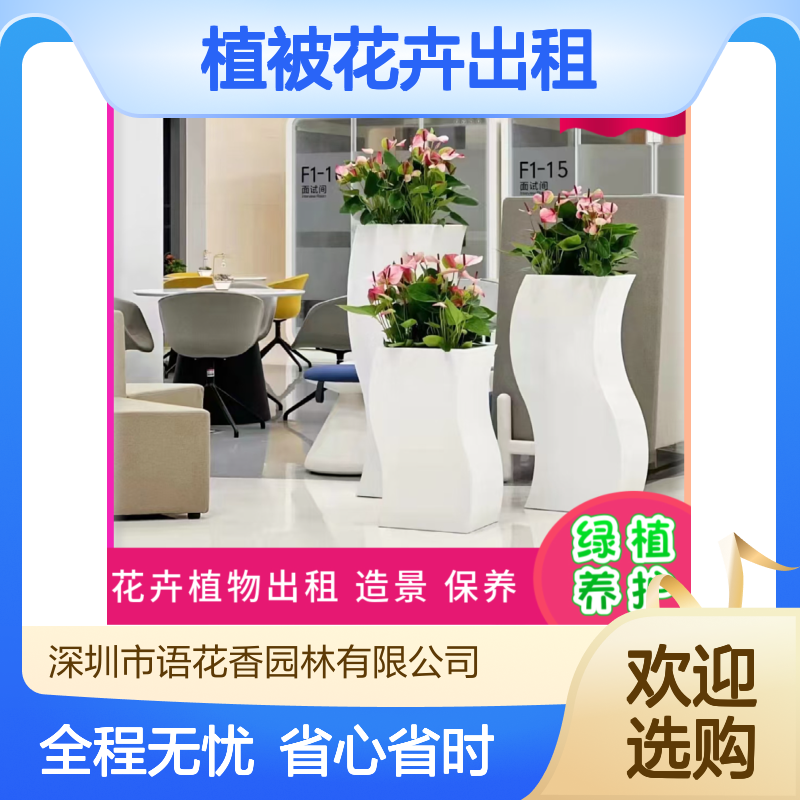 植被花卉出租 专业团队设计 室内绿植盆栽组合租赁服务