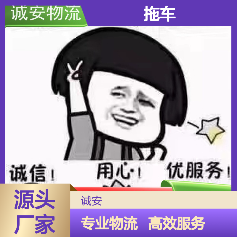 诚安物流8吨车蛇口拖车一般贸易买单报关次日到