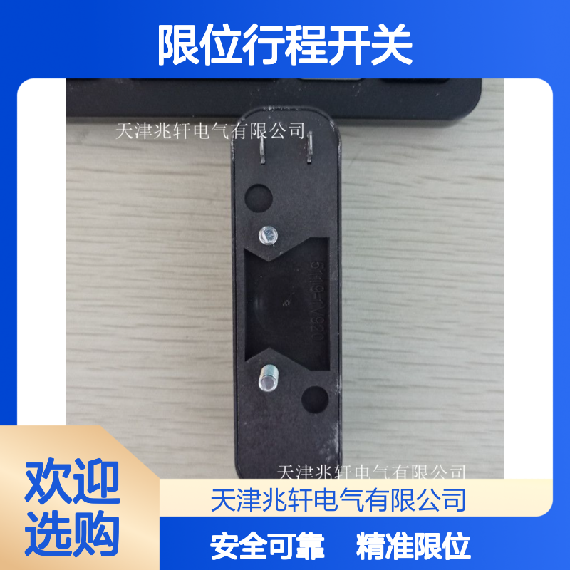 限位行程开关 AZI161SK-12/12RK-I16-24V 施迈赛安全锁