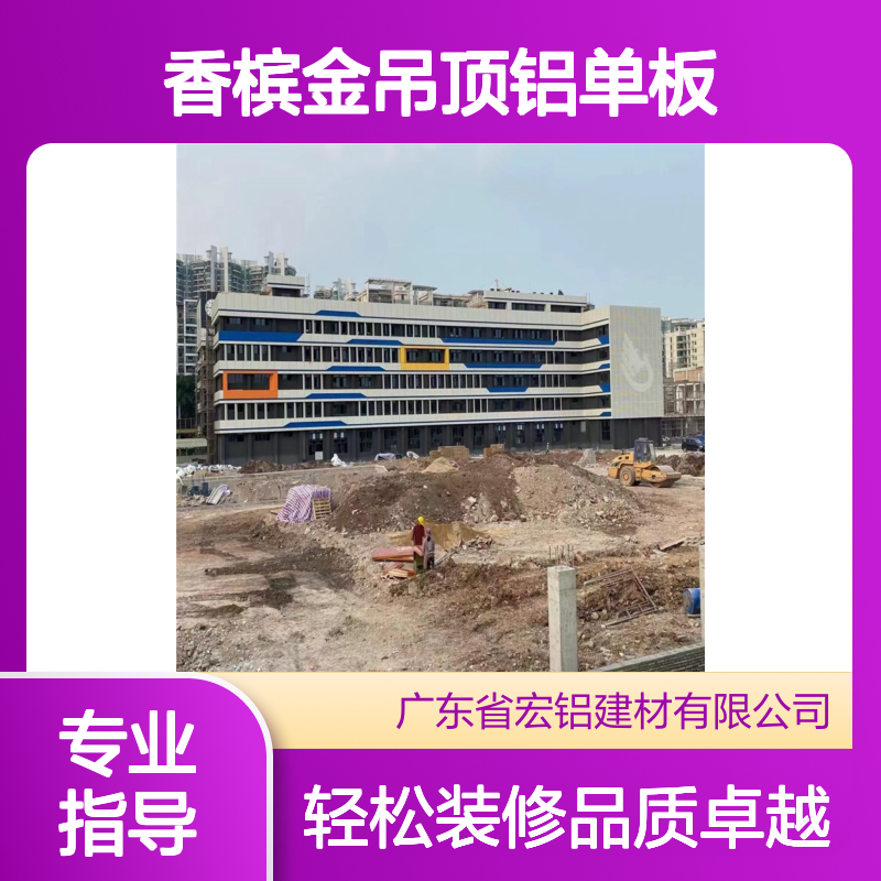 亚光白香槟金吊顶铝单板 优质铝合金高强度耐腐蚀 家庭办公装修优选