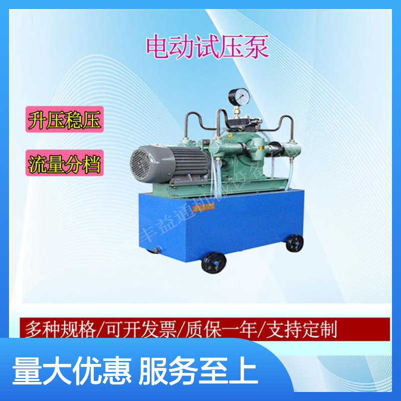 4DSY165电动试压泵 性能稳定 水压机 规格齐全 可开发票