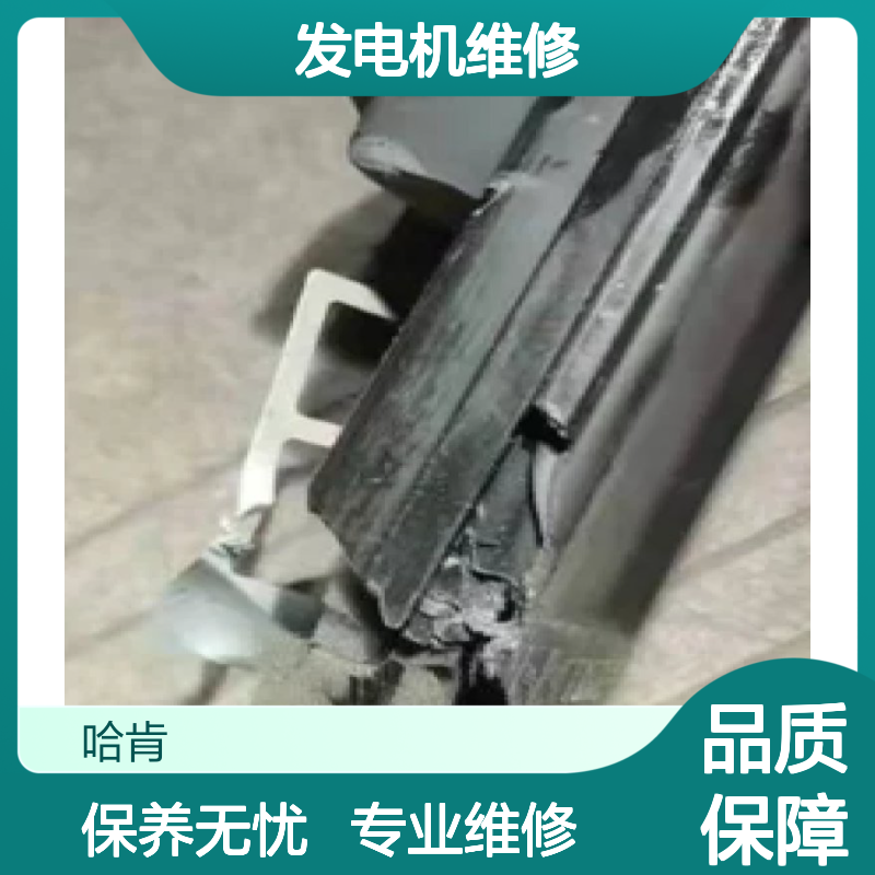 哈肯国际总代理供应 雅马哈发电机维修 维护 保养