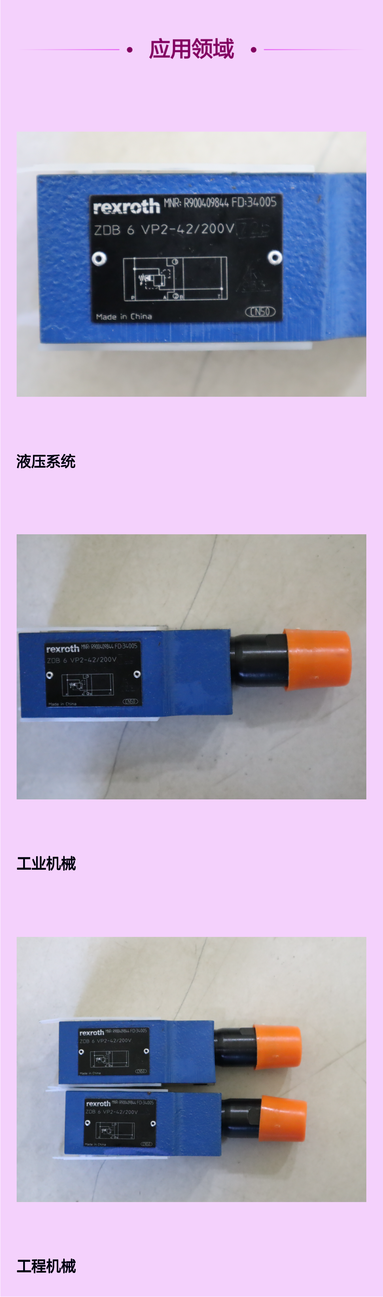力士乐REXROTH溢流阀ZDB6VP2-40/200V 德国进口