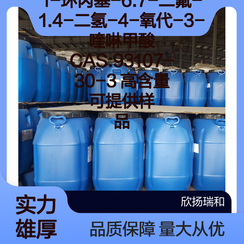 1-环丙基-6.7-二氟-1.4-二氢-4-氧代-3-喹啉甲酸 CAS93107-30-3 高含量