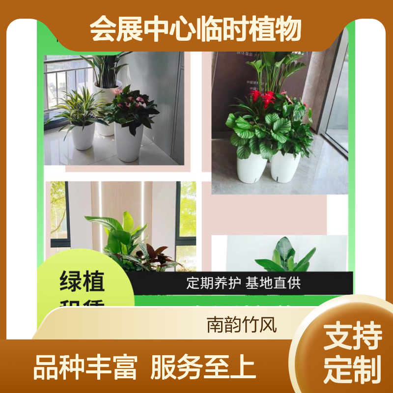 南韵竹风 个性定制 会展中心临时植物租摆 花卉场地布置 绿植造景