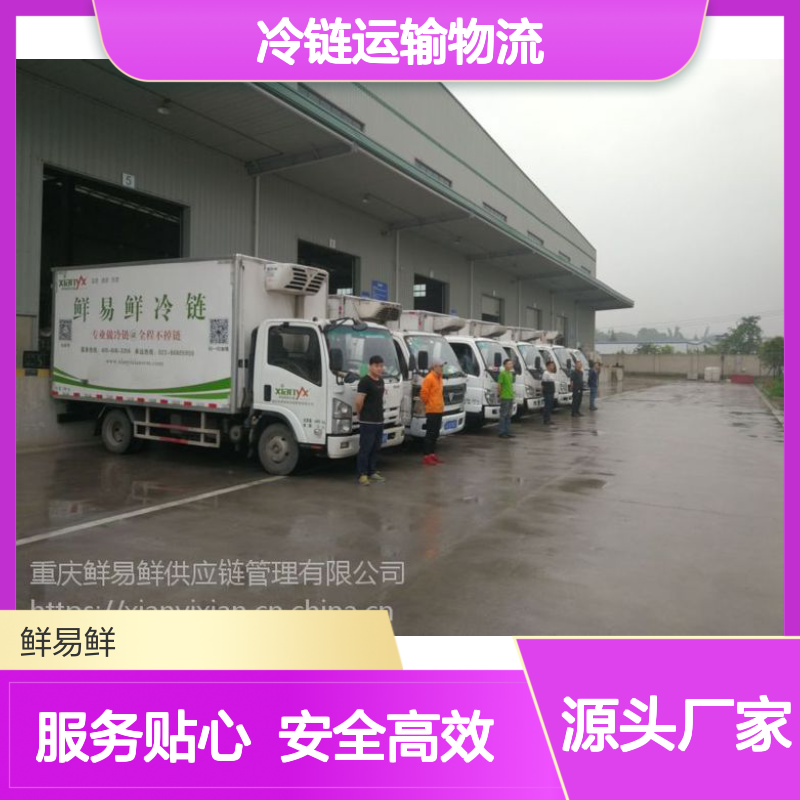 冷链运输物流 国内专线往返运输 上门取货送货上门 货运专线
