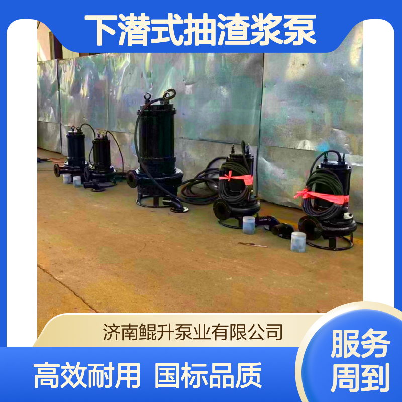 鲲升牌 潜水抽沙泵 下潜式抽渣浆泵 国标纯铜电机