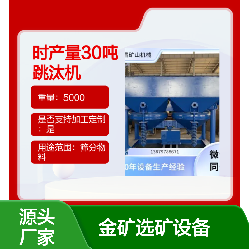 时产30吨跳汰机结构图 金矿选矿金矿设备 低能耗定制