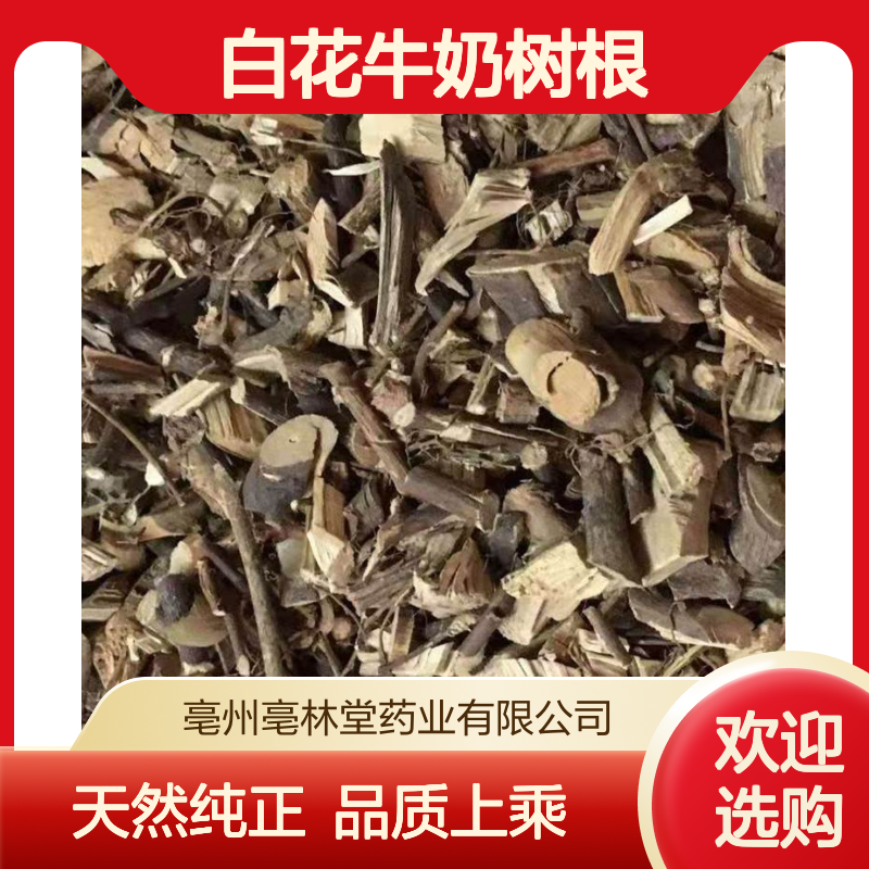 亳林堂中药材批发 白花牛奶树根 选货 无硫无熏 含量高 规格齐全 包邮
