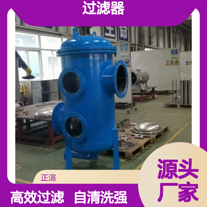 正渲时间控制多滤芯反冲洗过滤器 可连续工作多柱式自清洗