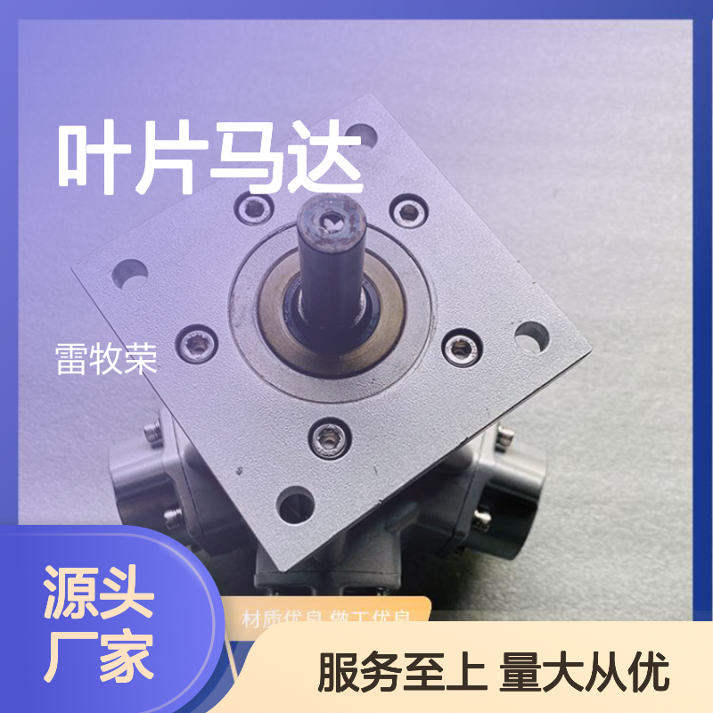 雷牧荣叶片马达 高功率输出 材质优良 做工精细