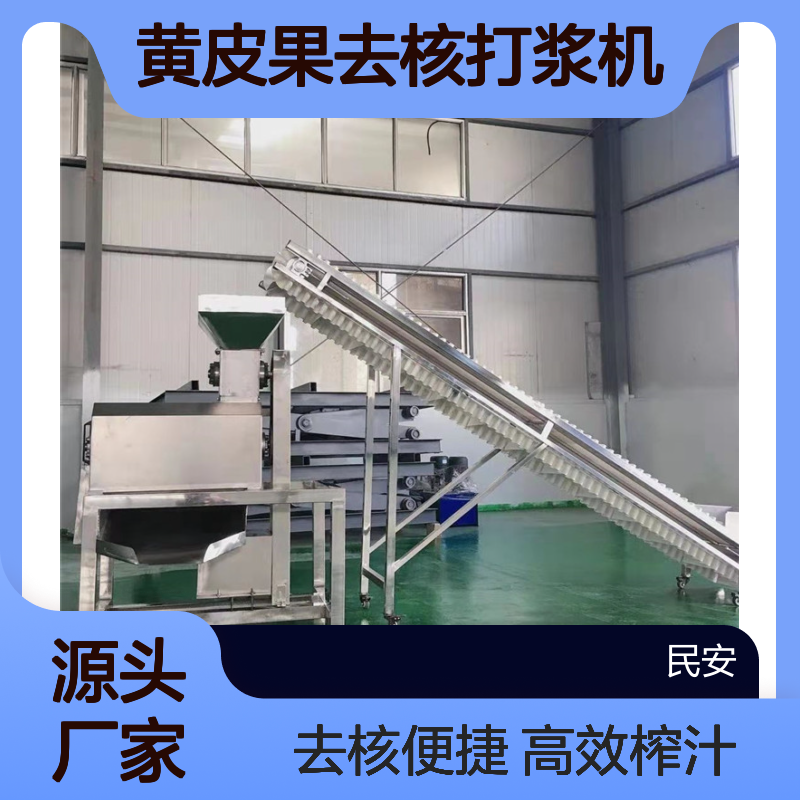 枇杷黄皮果去核打浆机甜梨苹果破碎榨汁机 商用不锈钢螺旋果汁机