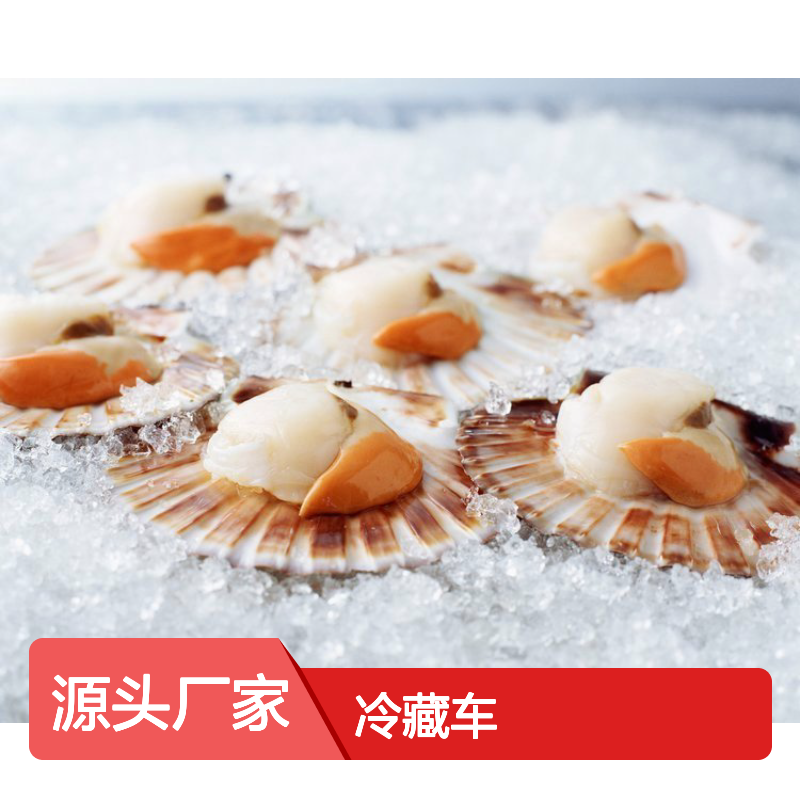 东莞鲜易鲜冷链物流公司 冷藏车比较多 时效快服务好