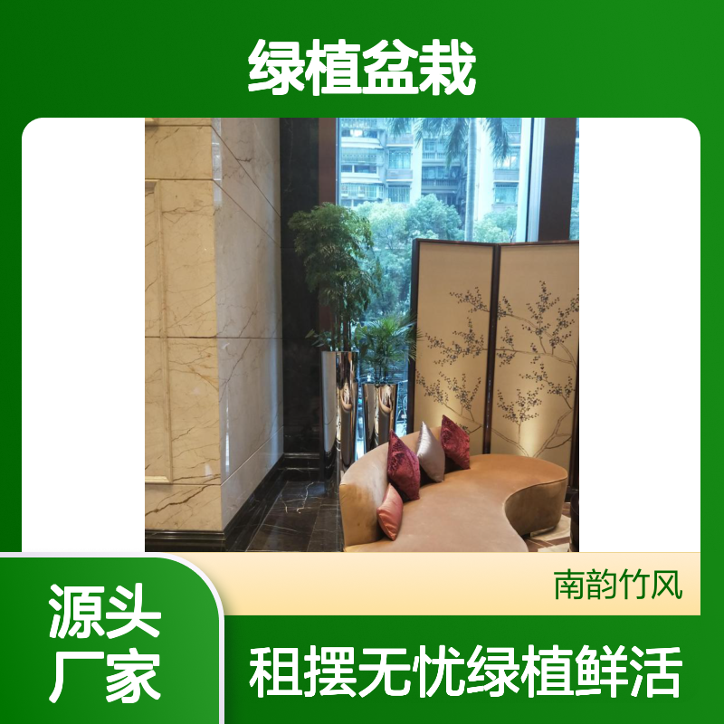 深 圳办公室花草租摆 租植物 绿植盆栽出租 花卉租售盆栽养护
